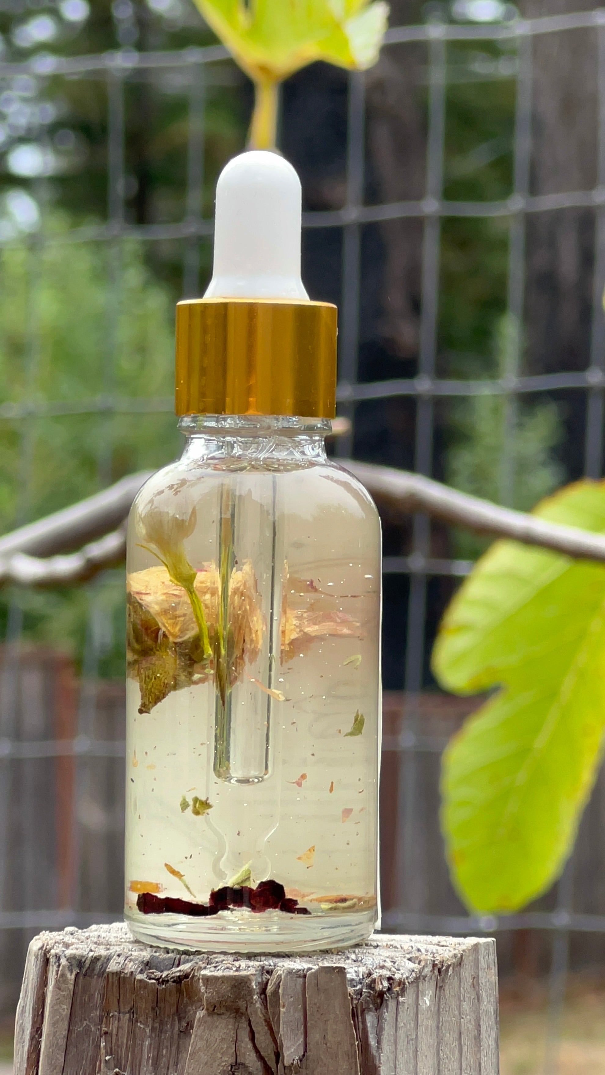 DARK BLOOM RITUAL OIL