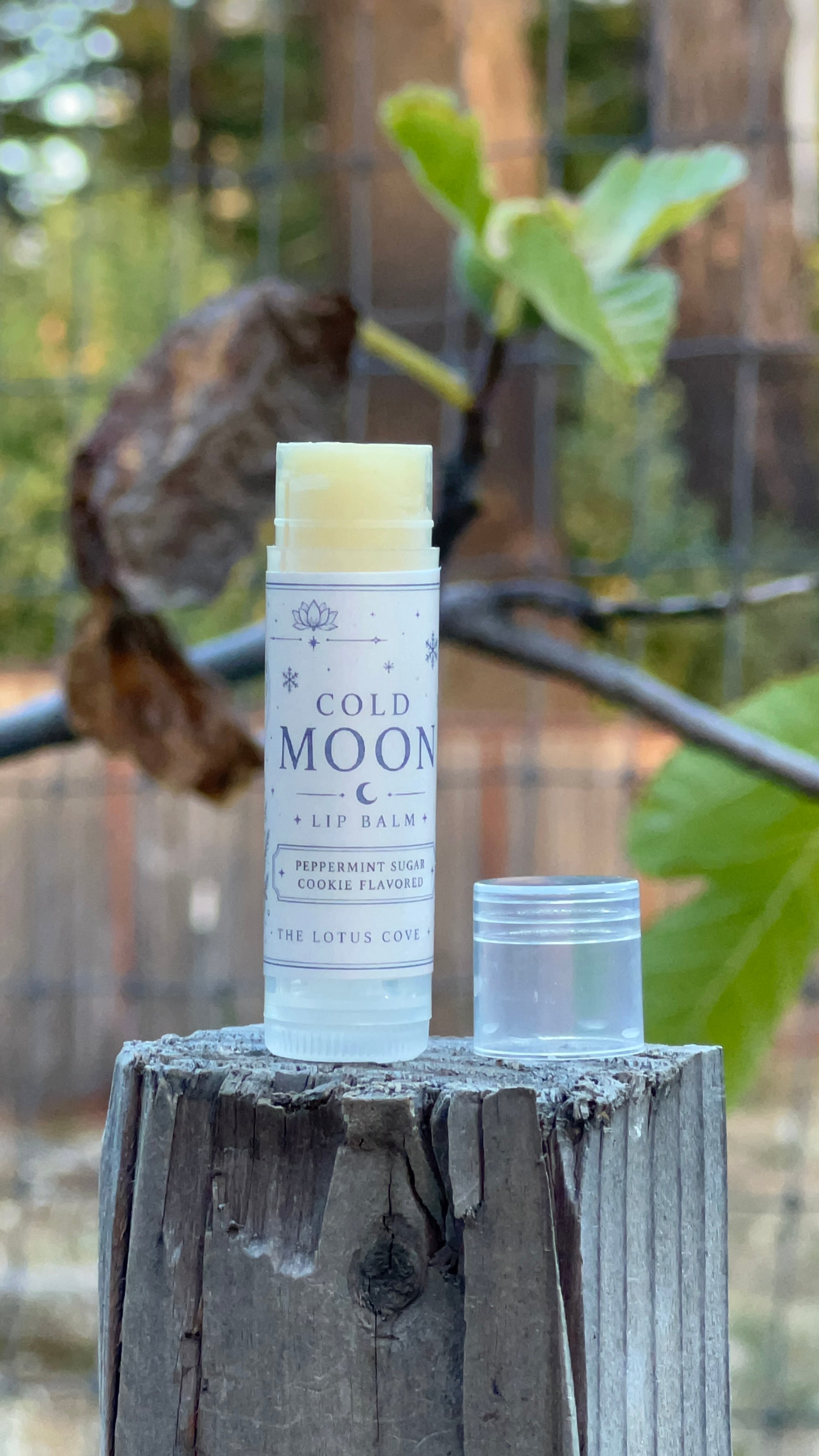 COLD MOON LIP BALM