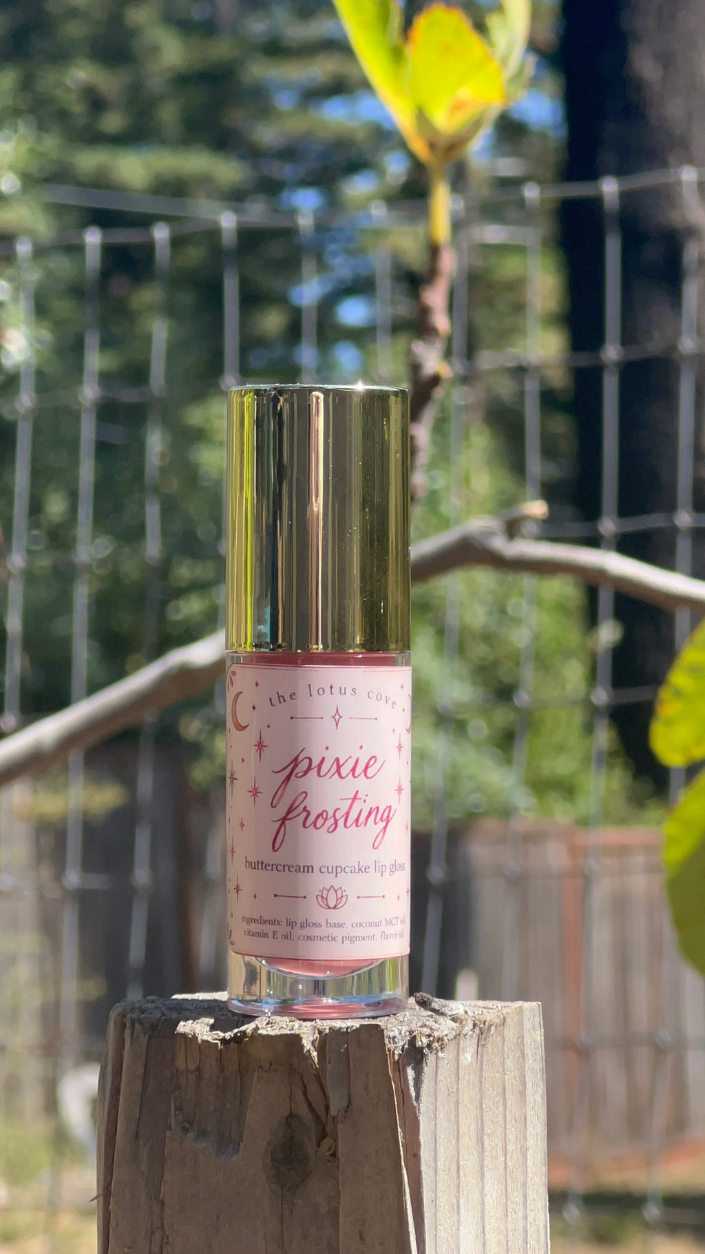 Pixie Frosting Spelled Lip Gloss
